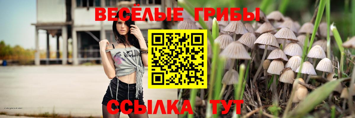 Псилоцибиновые грибы Psilocybe Тосно